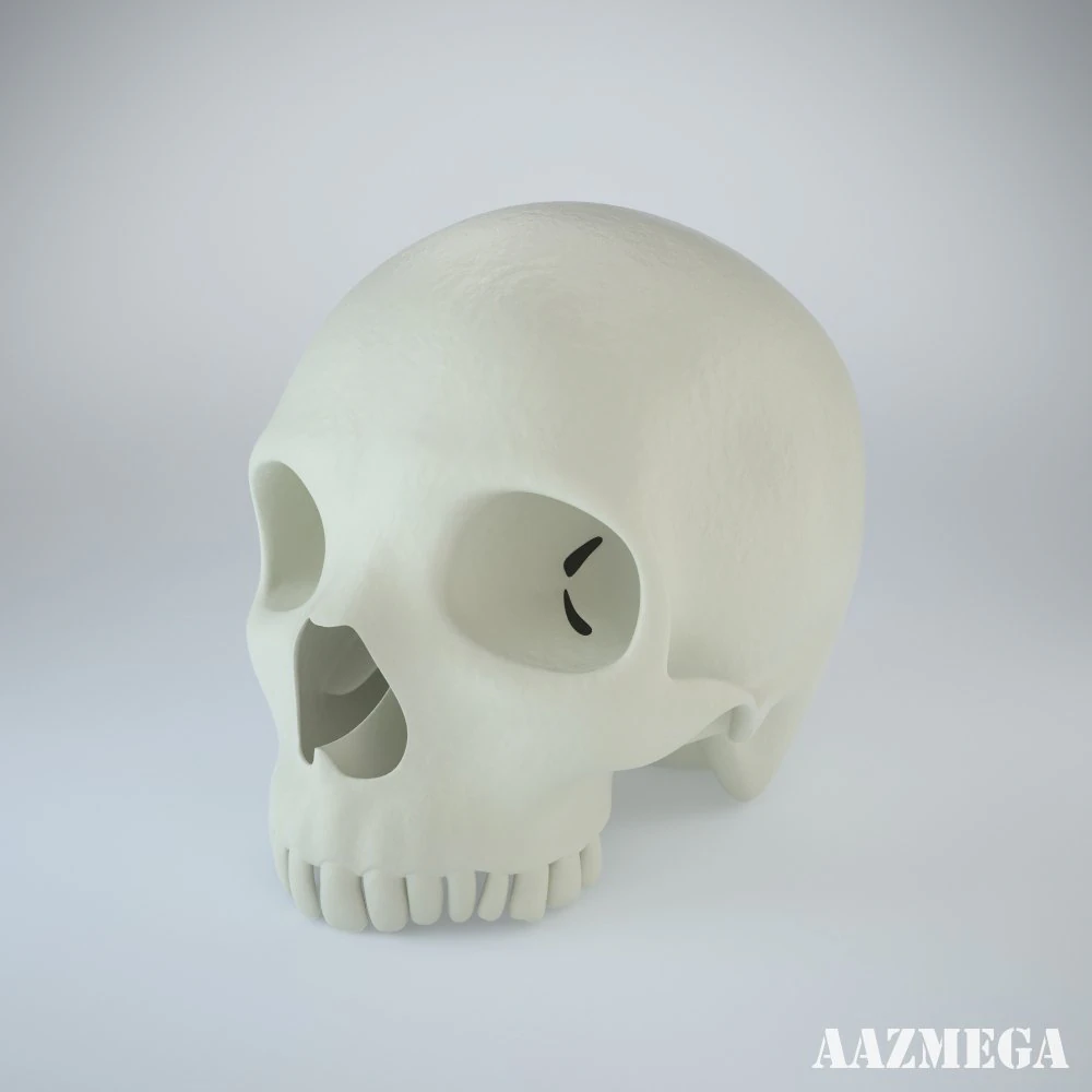 humans skull 3D Model .c4d .max .obj .3ds .fbx .stl .blend 