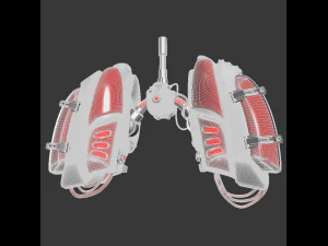 mechanical lungs concept 3D Model