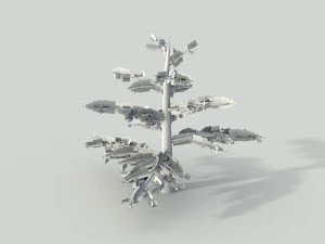 fir tree - animation of growth 3D Model