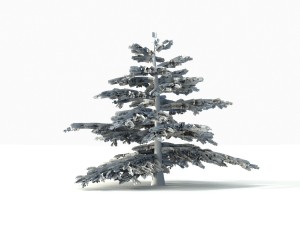 fir tree - animation of growth 3D Model