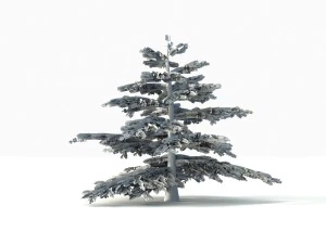 fir tree - animation of growth 3D Model