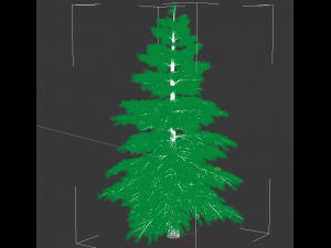 fir tree - animation of growth 3D Model