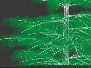 fir tree - animation of growth 3D Model