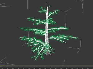 fir tree - animation of growth 3D Model
