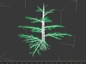 fir tree - animation of growth 3D Model