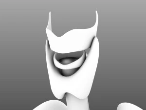 인간의 내부 장기 3D 모델