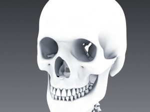 human anatomy animated skeleton internal organs Model 3D
