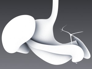 human anatomy animated skeleton internal organs Model 3D