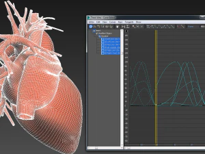 human heart animated v3 3D Model