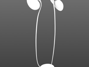 human kidneys 3D Model