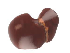 human liver 3D Модель