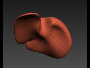 human liver 3D Model