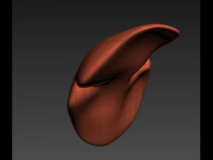 human liver 3D Model