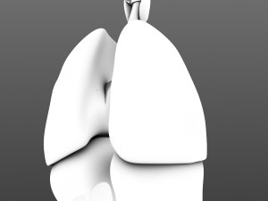 lungs animated 3D Model