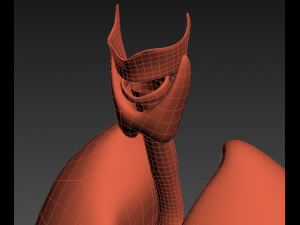 lungs animated 3D Model