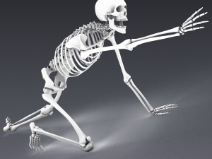 human skeleton rigged Modèle 3D