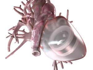 artificial human heart beating 3D Model