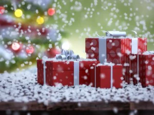 anima&ccedil;&atilde;o de neve caindo Modelo 3D