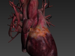 human heart high quality 3Dモデル