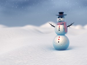 snowman vray 3D Model