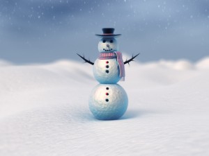 snowman vray 3D Model