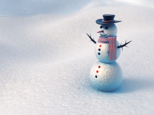 snowman vray 3D Model