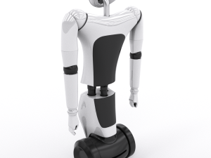 r1 your personal humanoid 3d model vray 3D-Modell