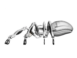 e-&ouml;r&uuml;mcek 3D Model