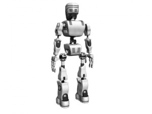 bot Model 3D