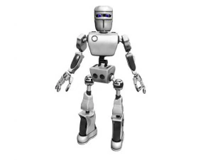 bot 3D Model