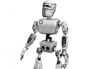 bot Model 3D