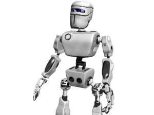 bot 3D Model