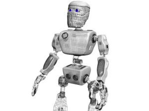 bot 3D Model
