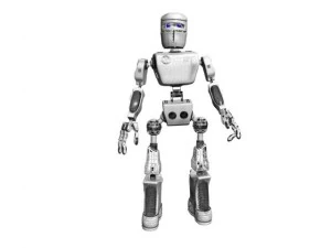 bot 3D Model