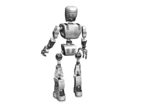 bot Model 3D