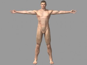 anatomic man 3D Модель