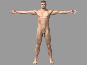 anatomic man 3D Model