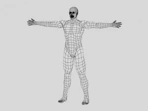 anatomic man 3D Model