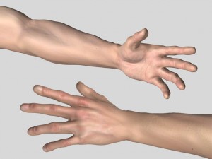 anatomic man 3D Модель