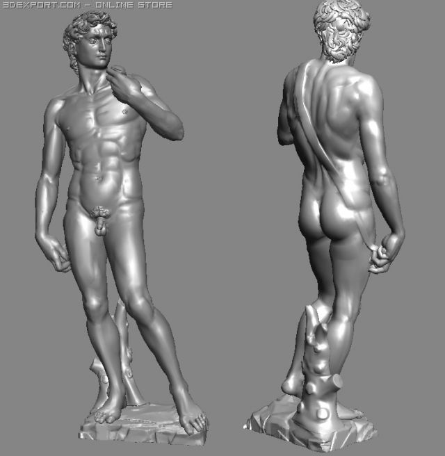David 3d Model In Anatomy 3dexport