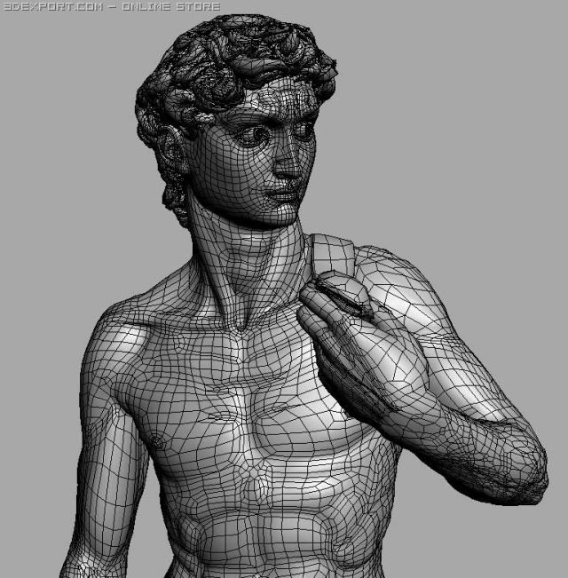 David 3d Model In Anatomy 3dexport