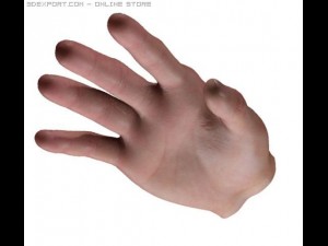 real hand sss sctatter shade Modelo 3D