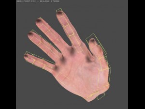 real hand sss sctatter shade Modelo 3D