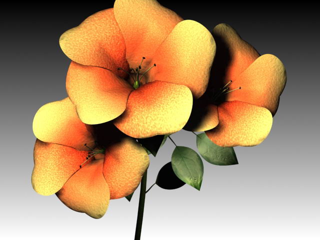 flower 3D Model .c4d .max .obj .3ds .fbx .stl .blend 