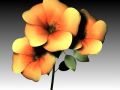 flower Modelo 3D