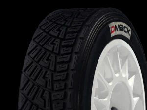wrc tyre 3D Model