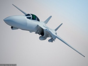 f14 tomcat fighter jet 3D Model