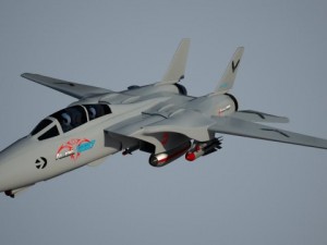 f14 tomcat fighter jet 3D Model