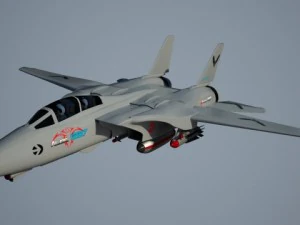 f14 tomcat fighter jet 3D Model