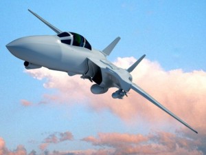 f14 tomcat fighter jet 3D Model